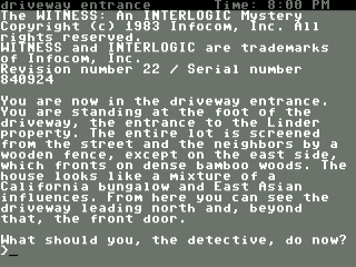 The Witness title screen for Commodore 64
